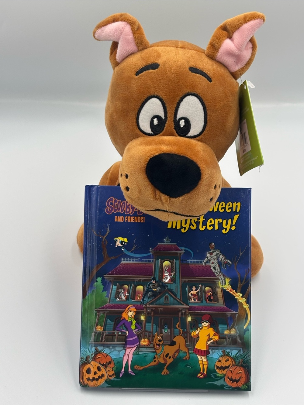 Scooby-Doo! Kohls Cares Book and Plush